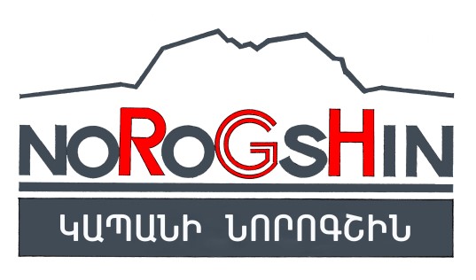 norogshin-logo